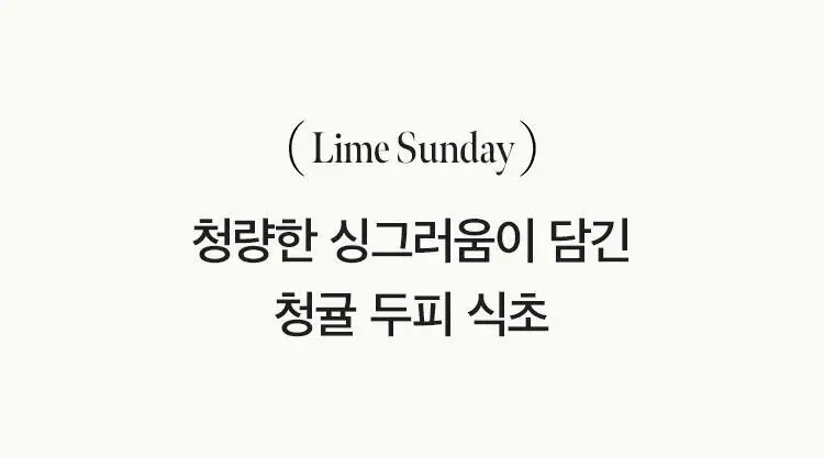 [지성두피/두피스케일링] 아닐로 라임썬데이 리프레시 스크럽 샴푸&비니거 세트 상세페이지 31